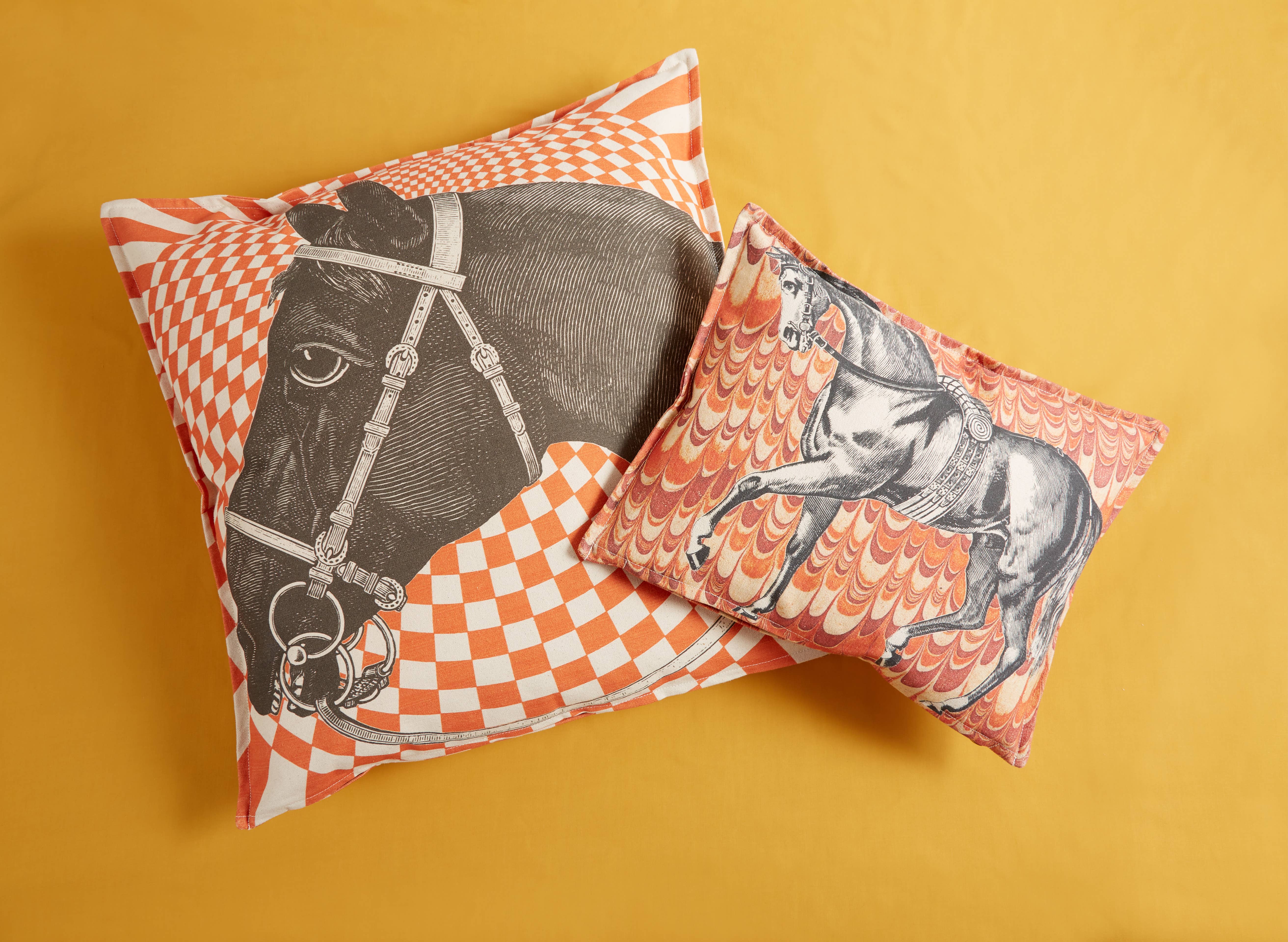 THOMASPAUL - Vente Coussin décoratif - COUSSIN OPTIQUE EQUUS ORANGE 22"X22"3