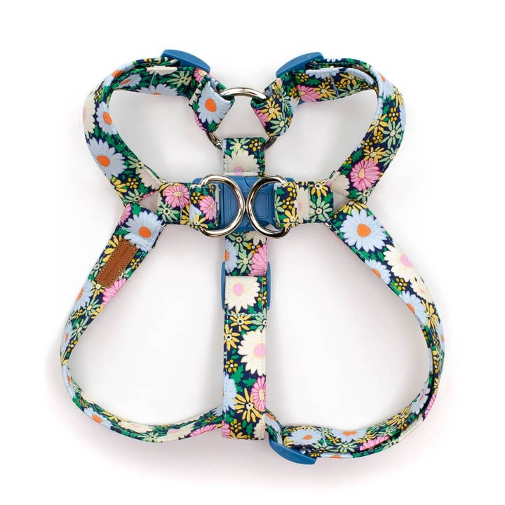 Daisy sele for engroshandel hos Puddle Jumper Pups