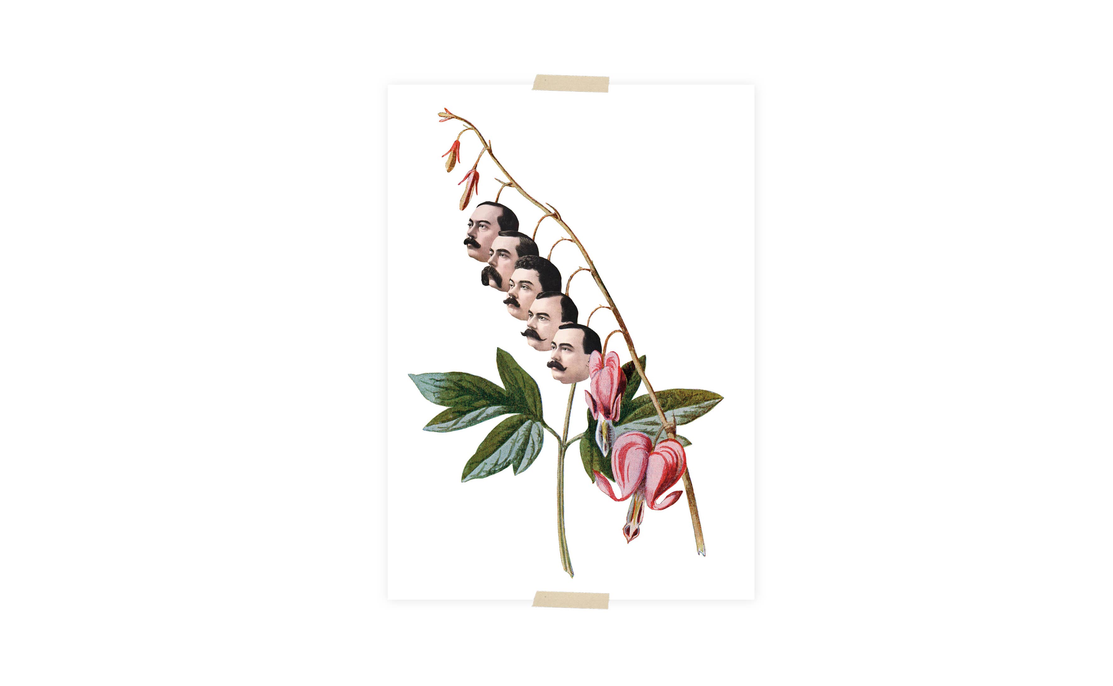 Lylies – wholesale Vykort – Vykortskollage för mäns hjärtan