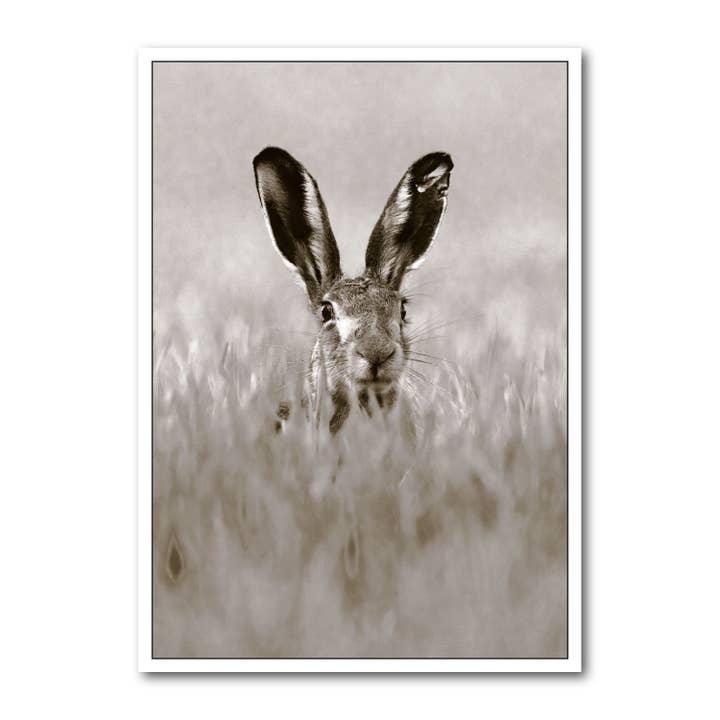 Formato de paisagem de cartão postal B/W DIN A6 MG1821 por atacado de Gutrath Verlag