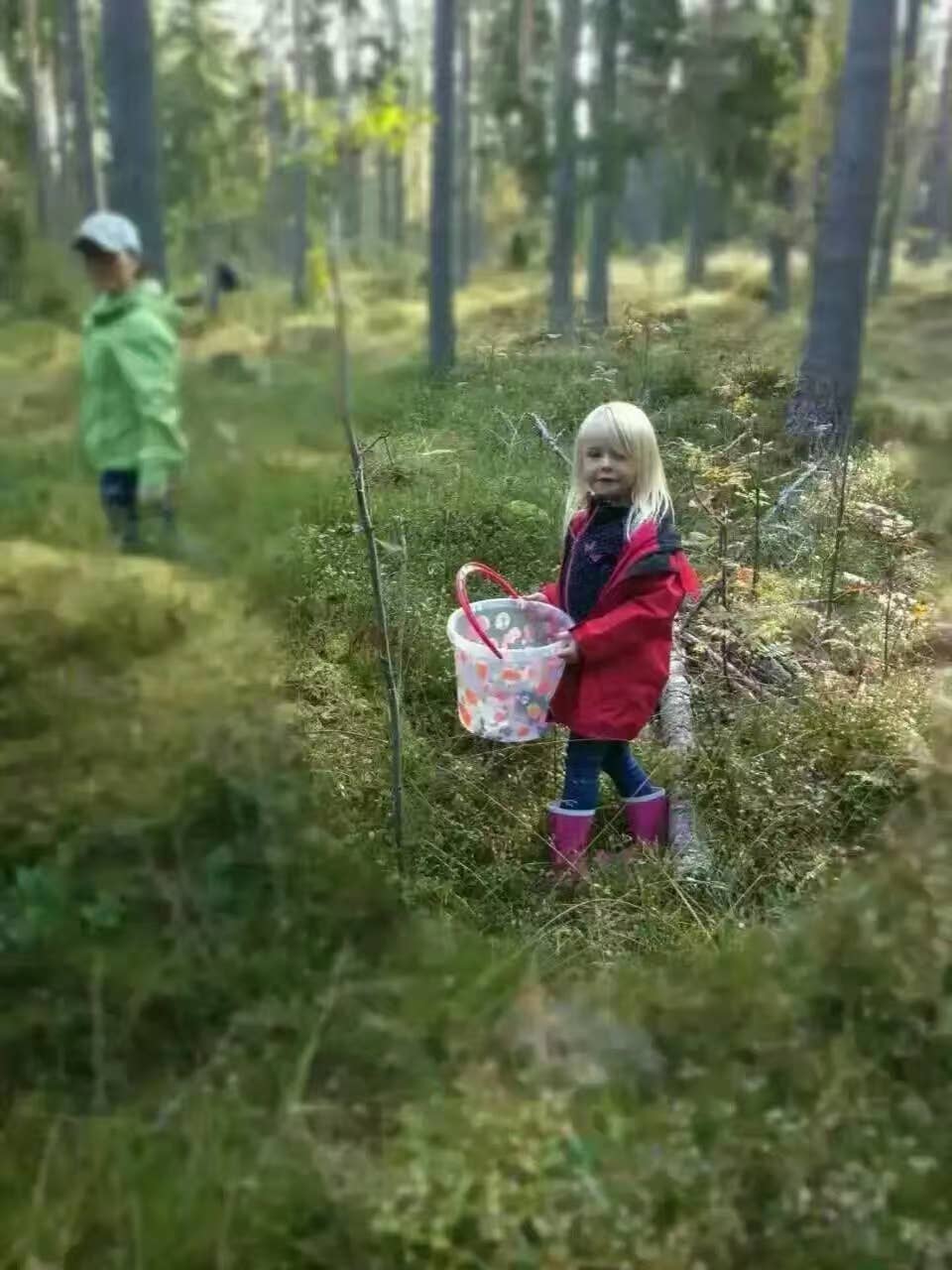 Nordic native pristine - Vente Supplément oral/vitamine - Méga vitamine pour les yeux à la myrtille8
