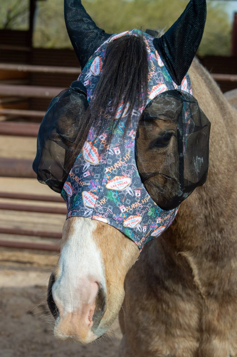 Schulz Equine - Wholesale Horseback Riding Gear - Lycra Fly Mask31