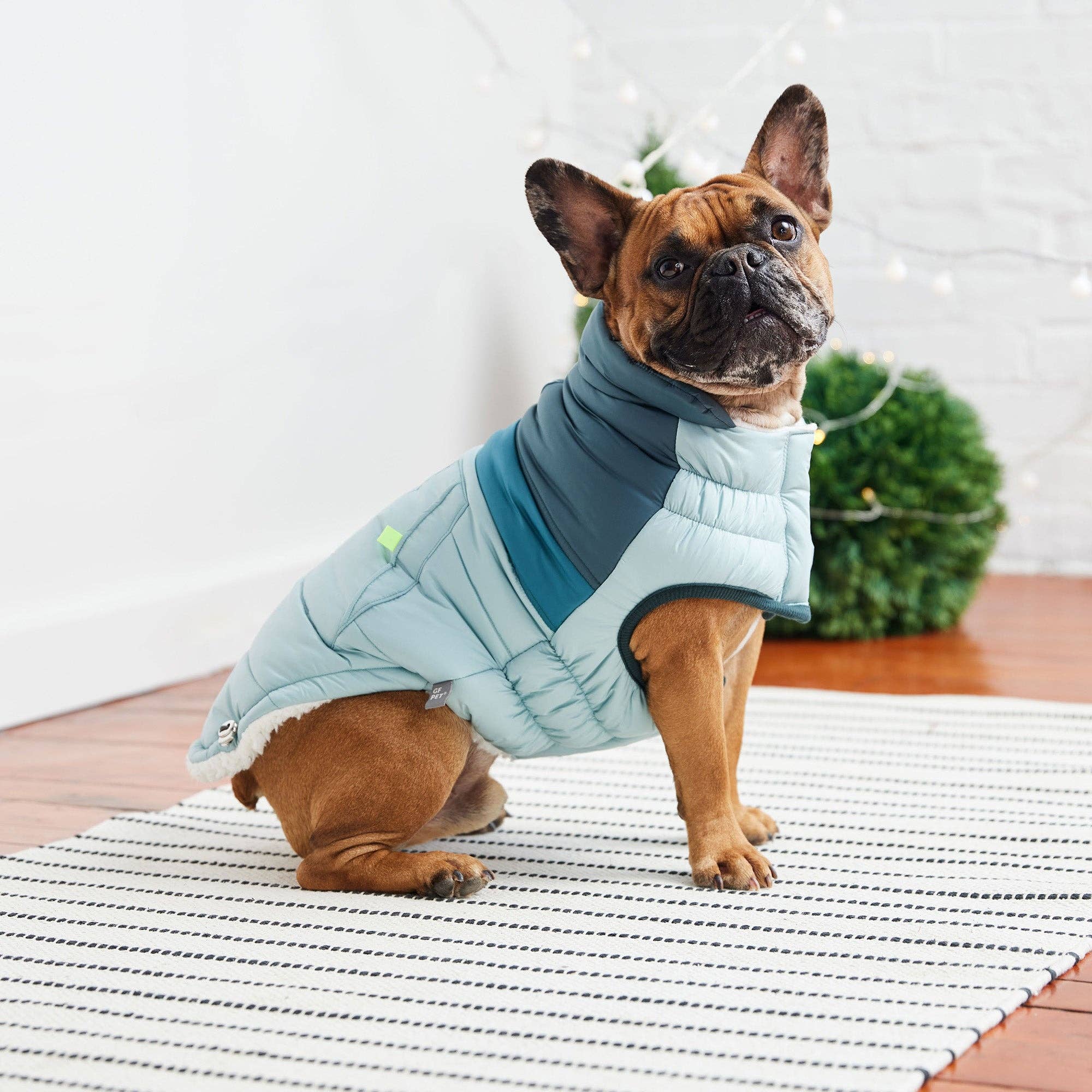 GF Pet – wholesale Pet coat – Dog – Retro Puffer - Light Blue3