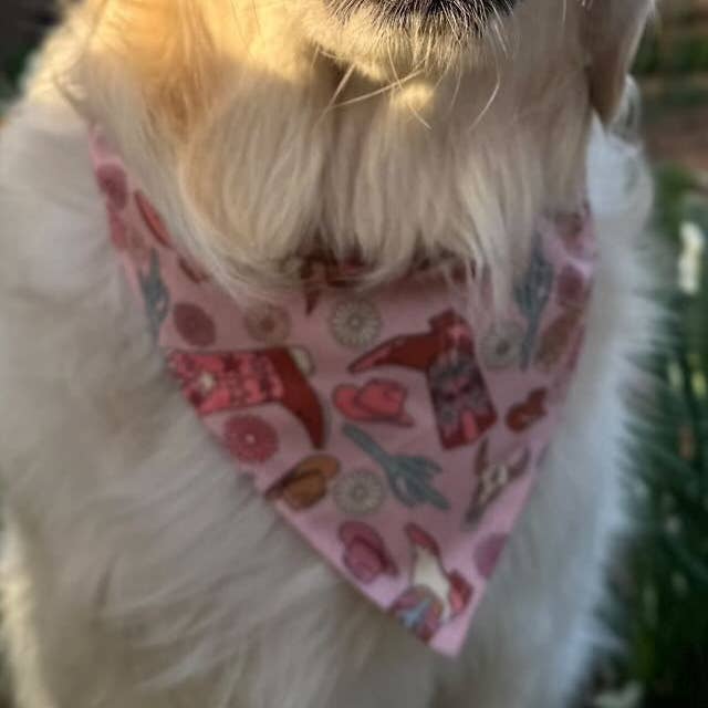 Western Babe Bandana for wholesale by Jersey Border Collars