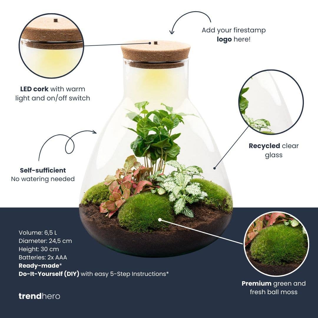 Trendhero.nl/b2b - Wholesale Terrarium - Terrarium Sam - Ø 24,5 cm ↑ 30 cm - Relatiegeschenk5