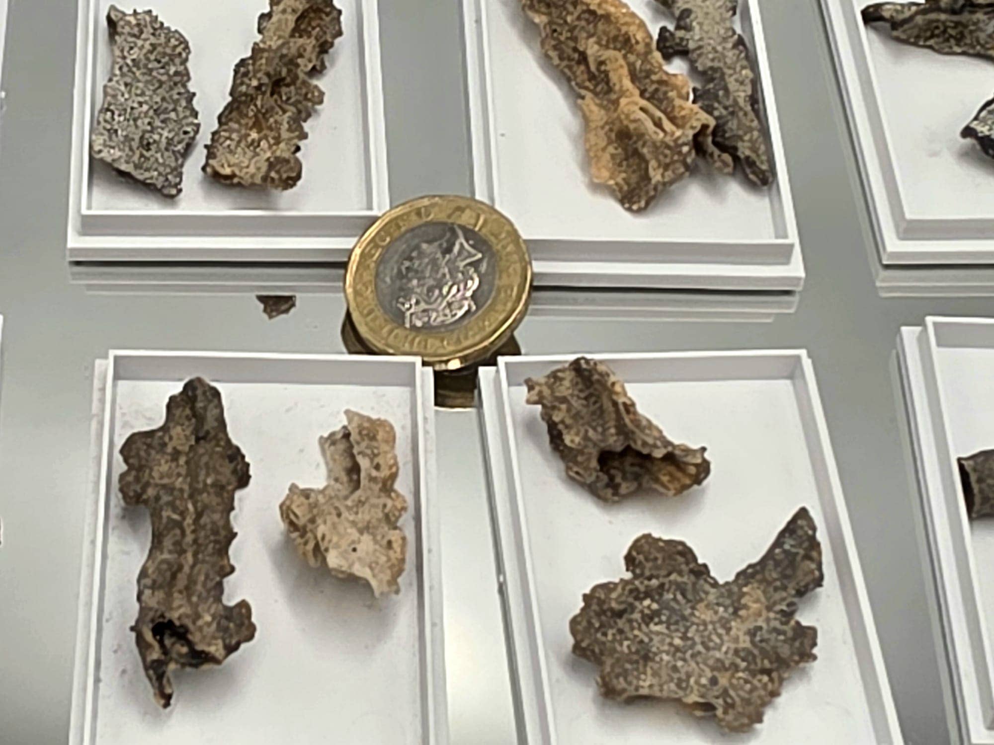 Distinction Crystals - Wholesale Spiritual stone/crystal - Fulgurite Crystal Specimens In Display Case- Lightning Stone (B3)2