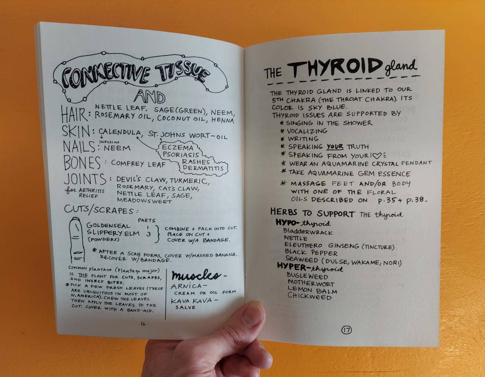 Microcosm Publishing & Distribution – Großhandel Buch zum Thema Medizin & Gesundheit – Heilung deines magischen Körpers mit Pflanzen und Mineralien (Zine)4