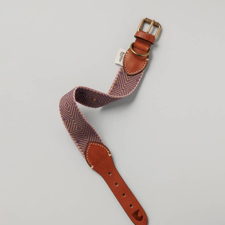 Buddys dogwear - Wholesale Pet Collar - Dog - /NEW/ Dog Collar Capri Bella