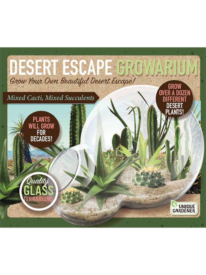 Terrarium en verre Desert Escape Growarium pour la vente par Silver Circle Products