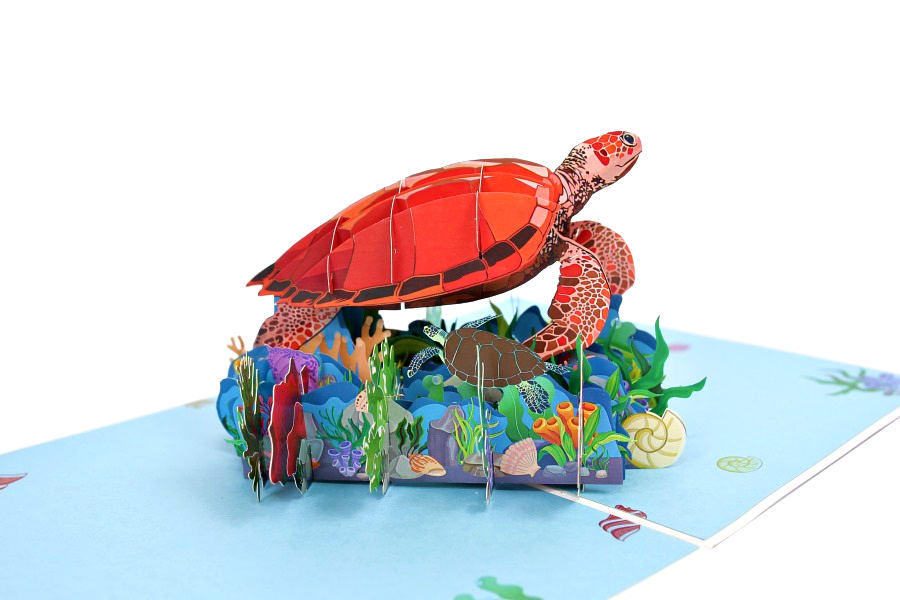 Wonder Paper Art - Wholesale Gewone wenskaart - Turtle pop-up kaart4