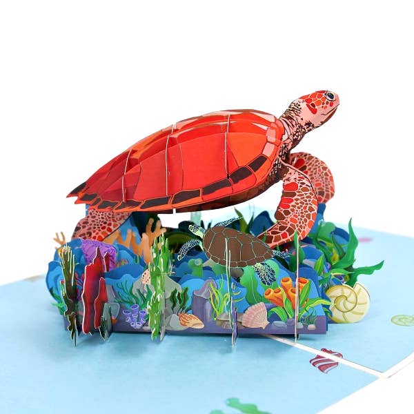Wonder Paper Art - Wholesale Everyday Greeting Card - Turtle Pop Up Card4