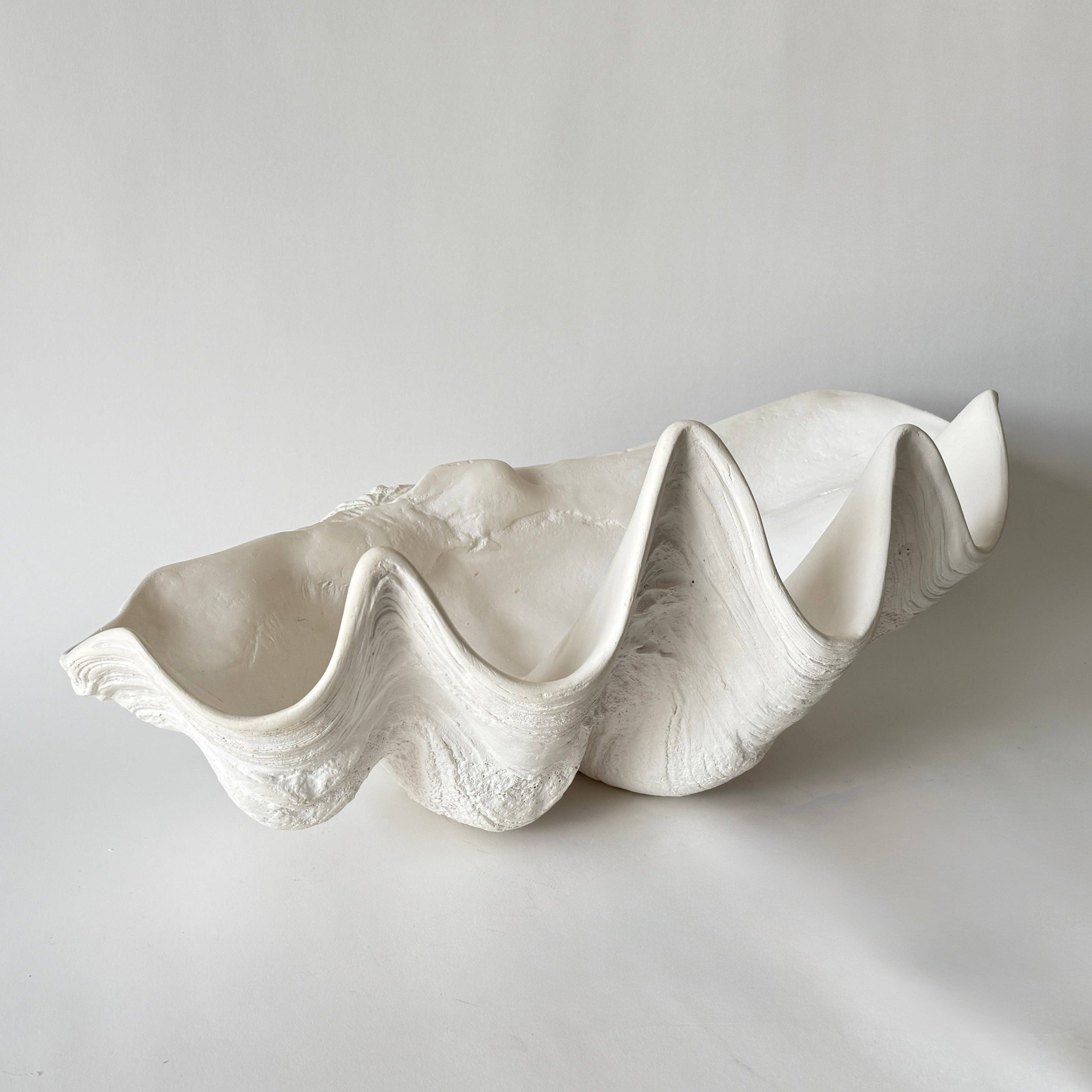 House Parts, Inc. - Wholesale Decorative Tabletop Object - Indian Ocean Clam Shell0