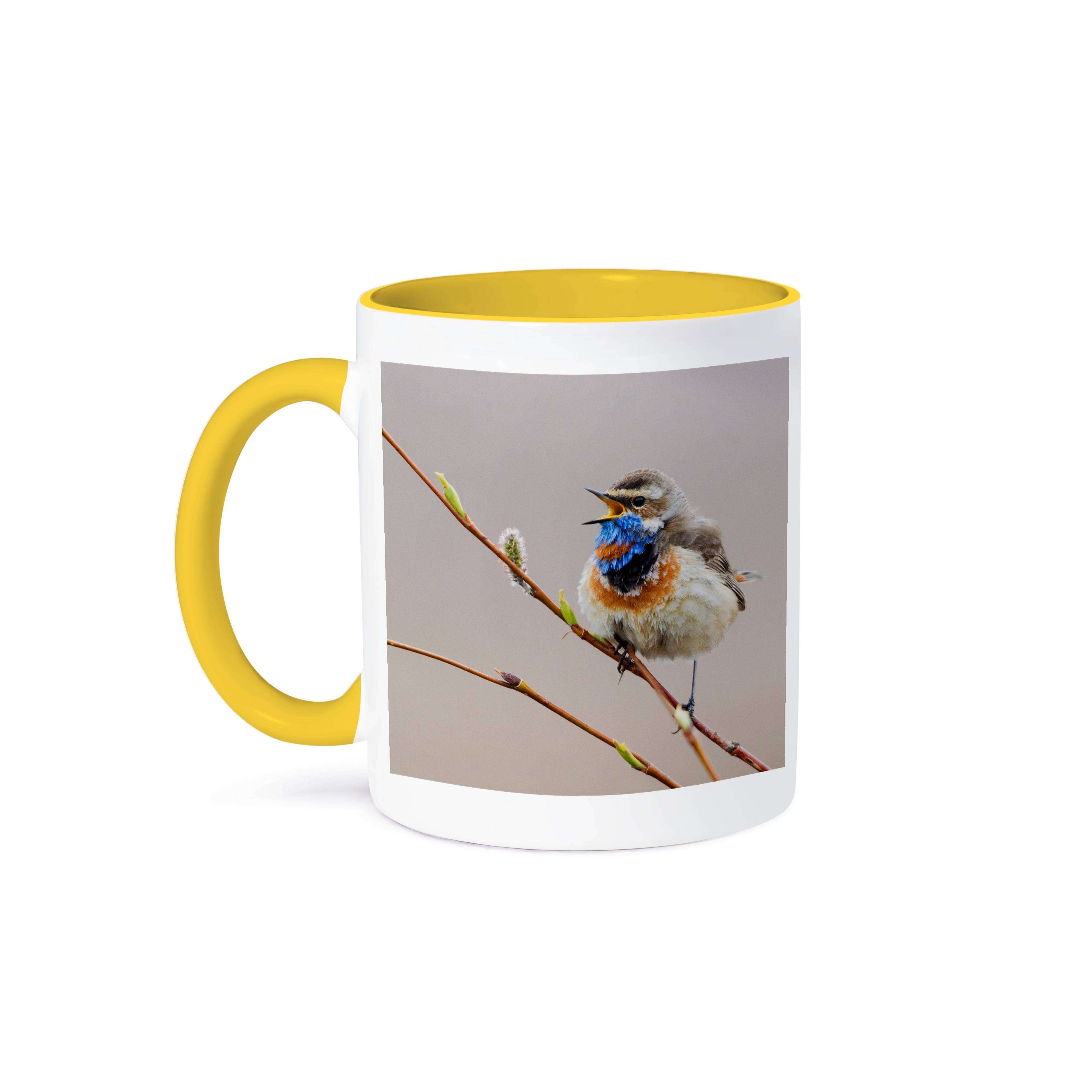 3dRose - Wholesale Coffee Mug - 3dRose, Bluethroat Singing on tree, Mug0