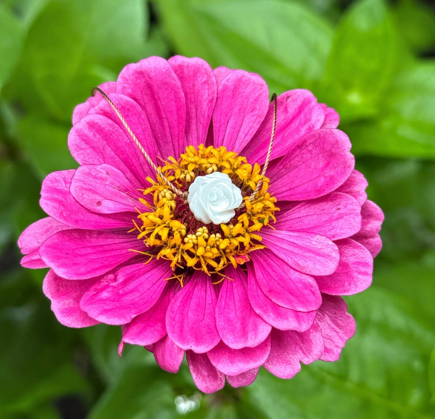 Merelani Designs - Wholesale Pendant/Charm Necklace - Mother of Pearl White Carved Flower Cord Necklace  1