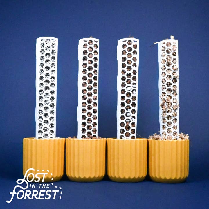 Udfyldelig støttepæl for engroshandel hos Lost in the Forrest