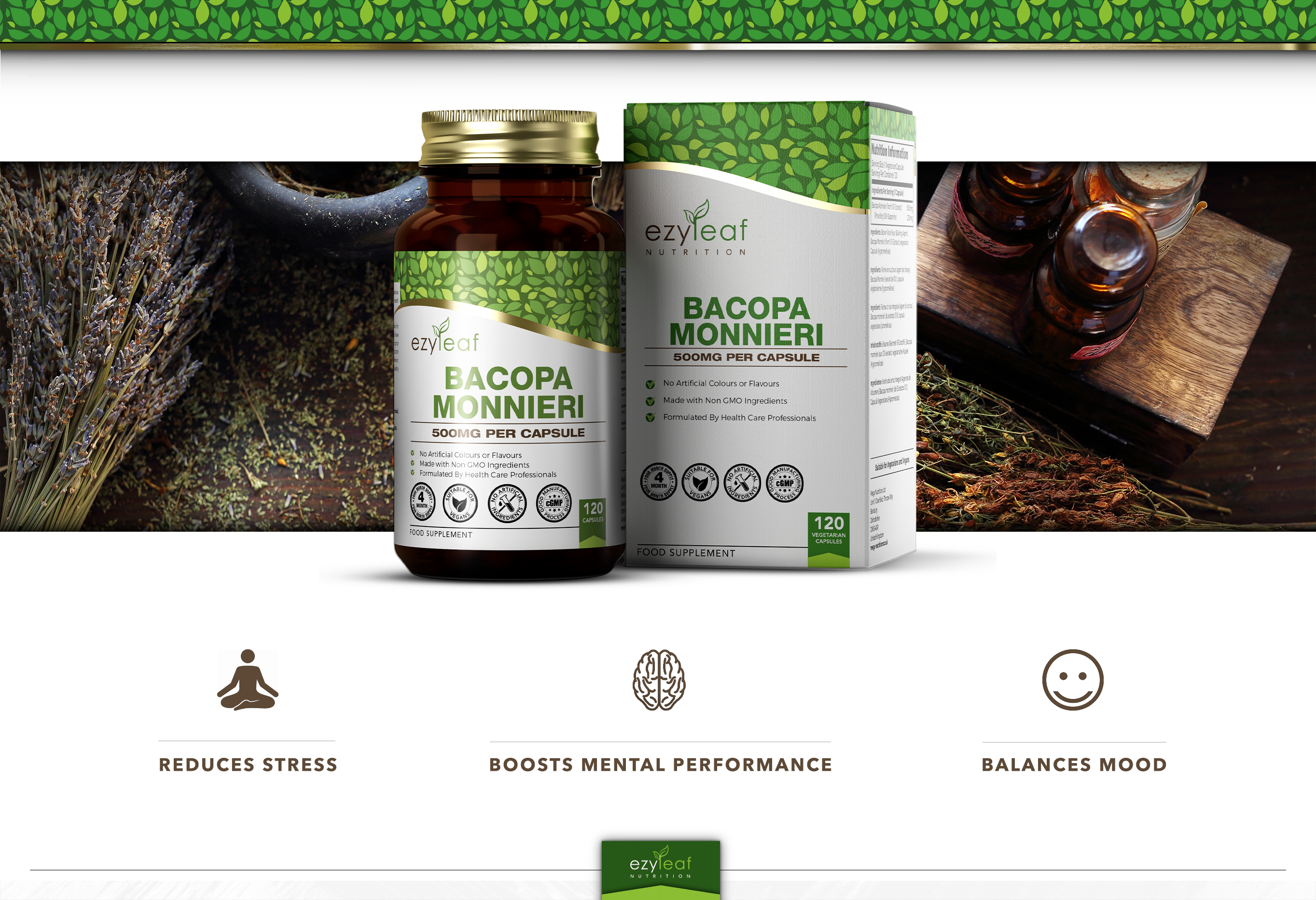 Focus Supplements – wholesale Oral supplement/vitamin – Bacopa Monnieri (500mg) 120 Capsules6