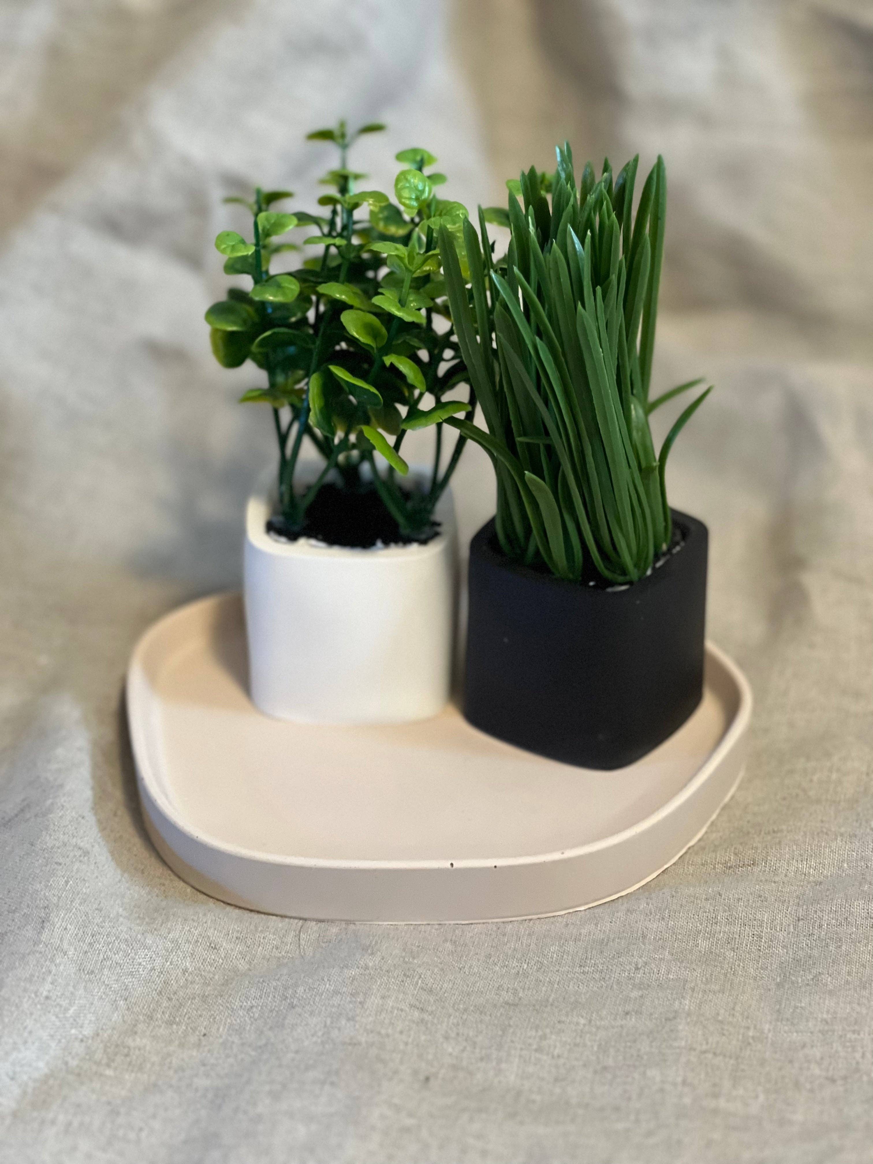 EMB Pretty – wholesale Plant pot – Neutral Mini Succulent/Cactus Pot/Planter0