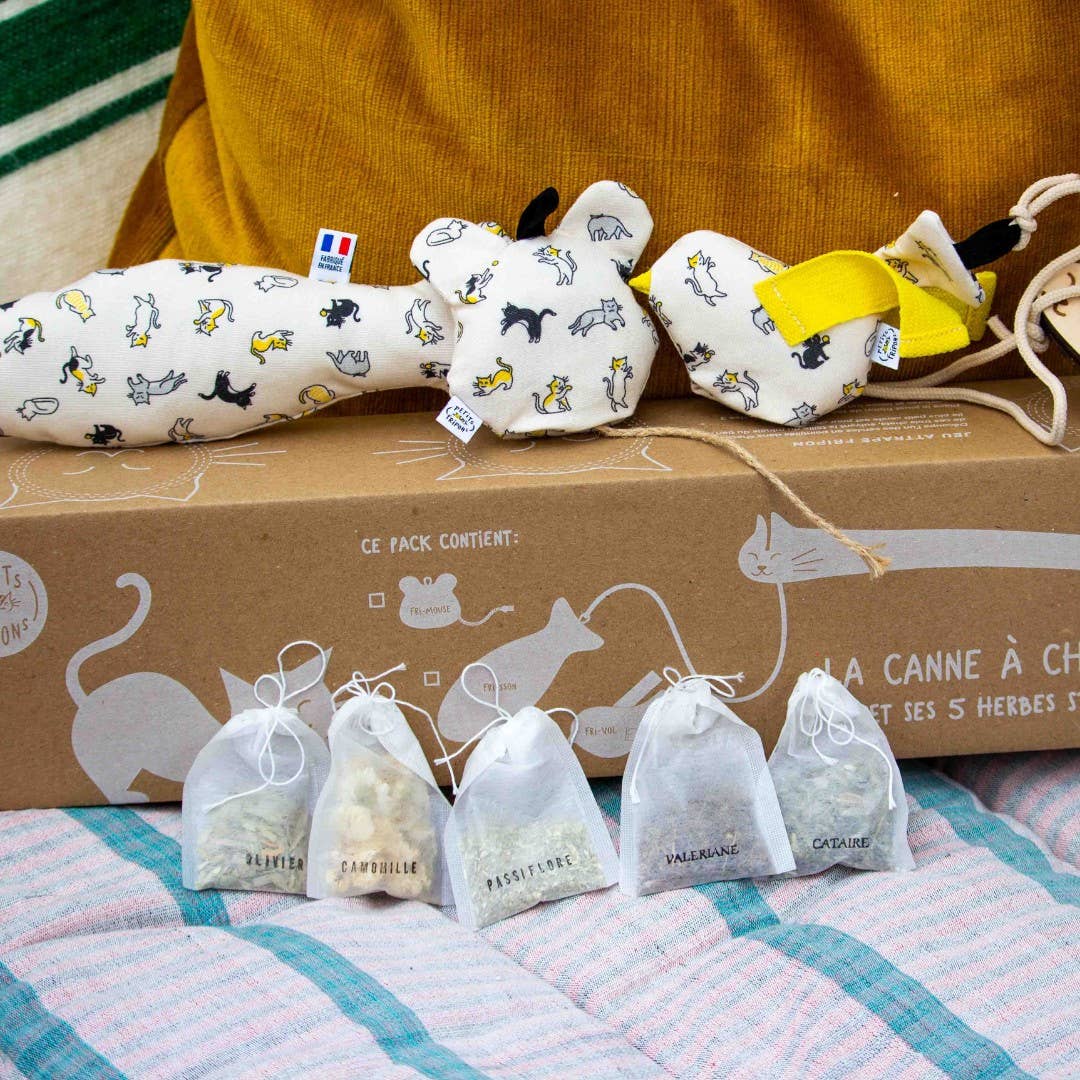 Petits Fripons - Wholesale Pet Toy - Cat - The cat cane + 5 herbs pack1