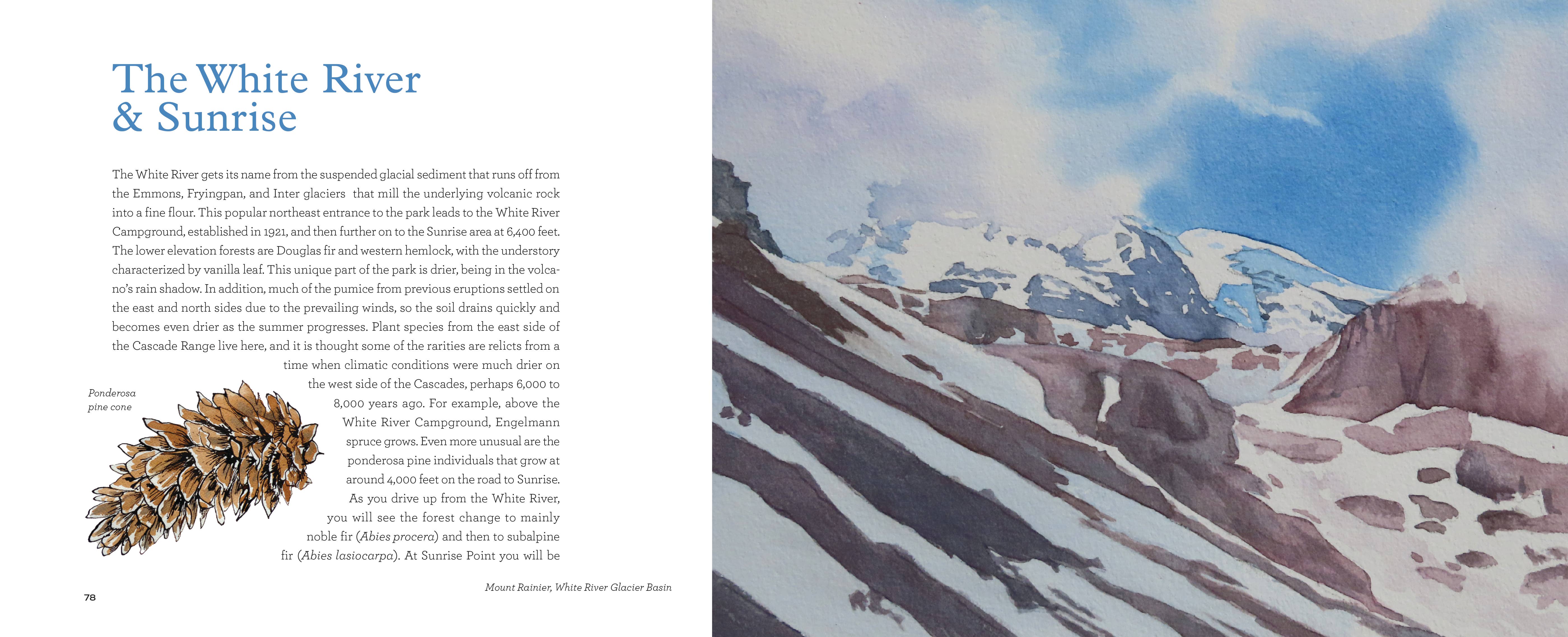 Mountaineers Books - Wholesale Nature & Outdoors - Mount Rainier National Park5