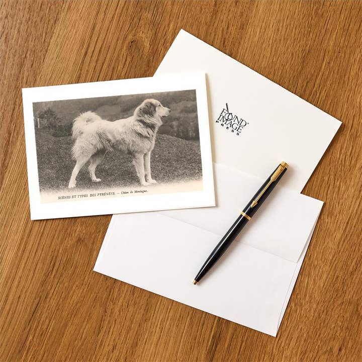 Found Image Press - Wholesale Stationery/Notecard Set - Greeting Card DG-196 Great Pyrenees1