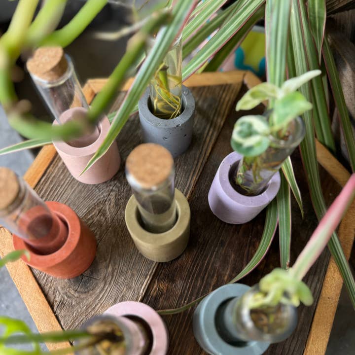 Good Girl Market - Wholesale Vase - Concrete Propagation Station3