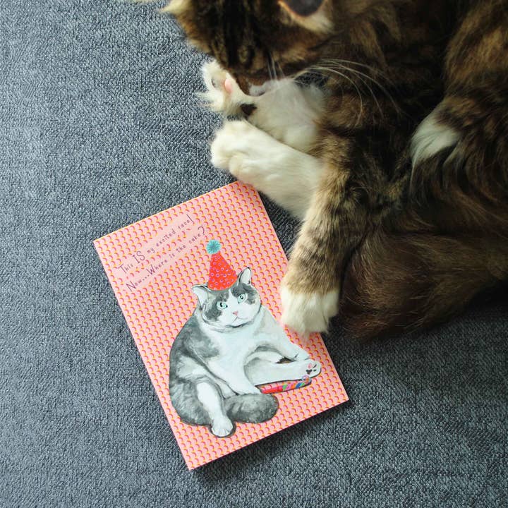 La Plante Carnivore – wholesale Birthday card – Party Grumpy Cat Birthday Card1