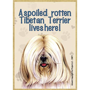Ein verwöhnter verdorbener Tibet-Terrier (weiße Farbe) lebt hier! für den Großhandel von SJT Enterprises, Inc.
