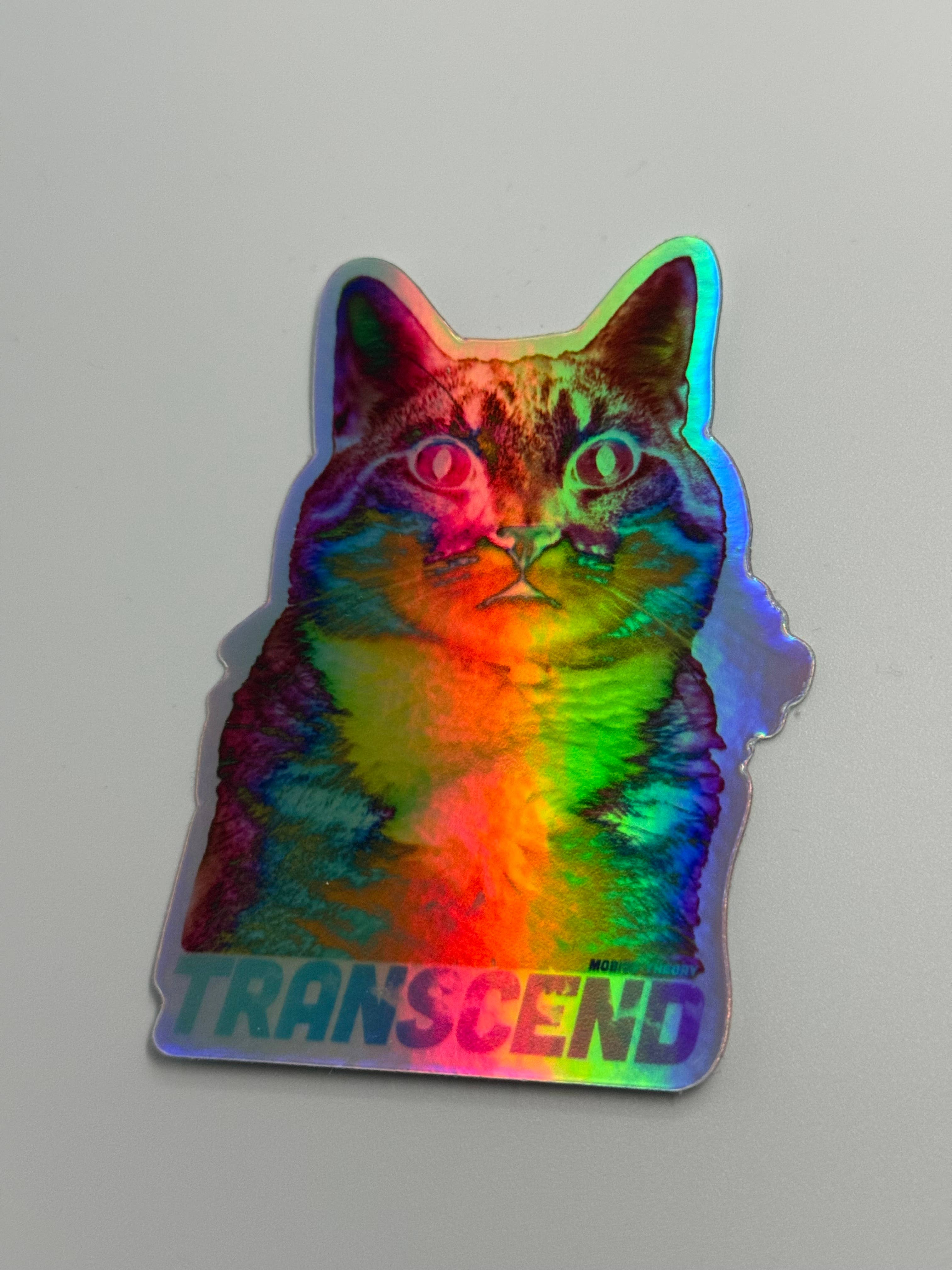 Mobius Theory - Wholesale Sticker - Holographic Psychedelic TRANSCEND 3.5" Die Cut Sticker5