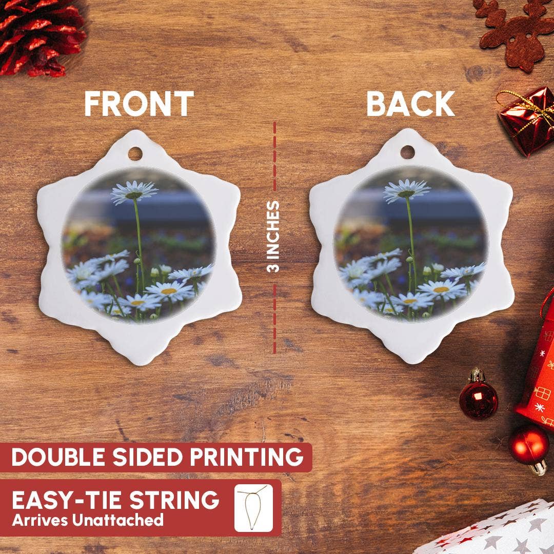 3dRose – wholesale Prydnad – 3dRose, Savannah, Georgia. Klunga av prästkragar i Forsyth Park, prydnad9