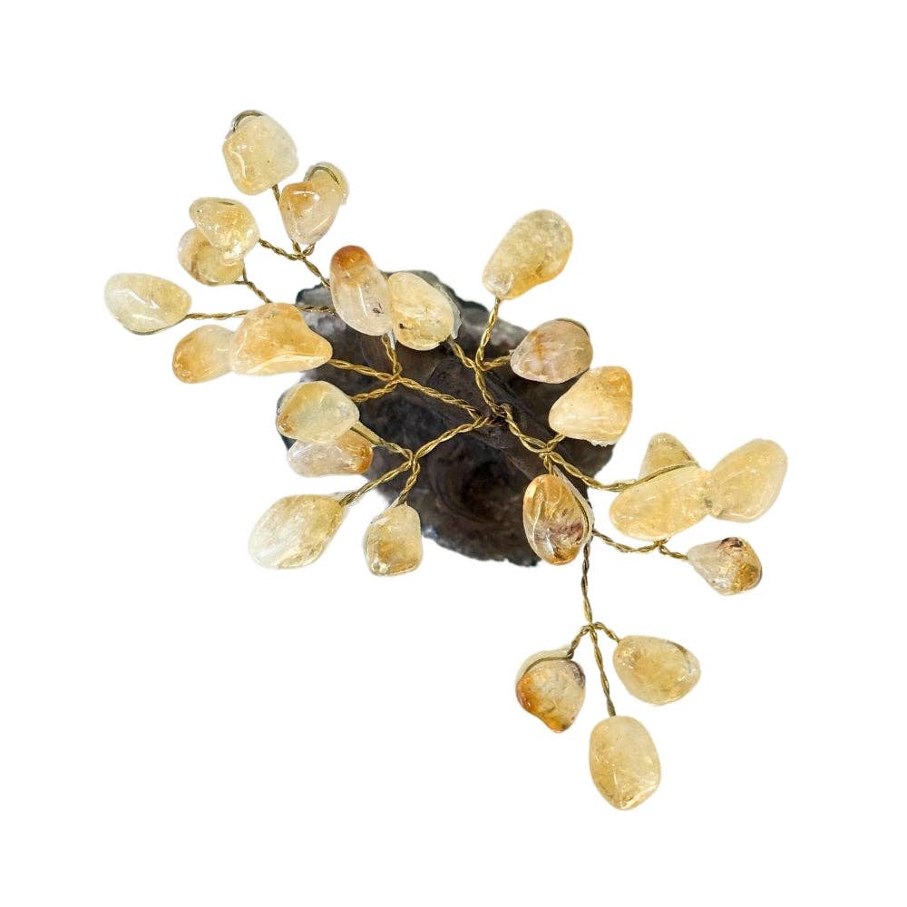 Earths Elements Wholesale - Wholesale Decorative Tabletop Object - Feng Shui Money Tree - Citrine1