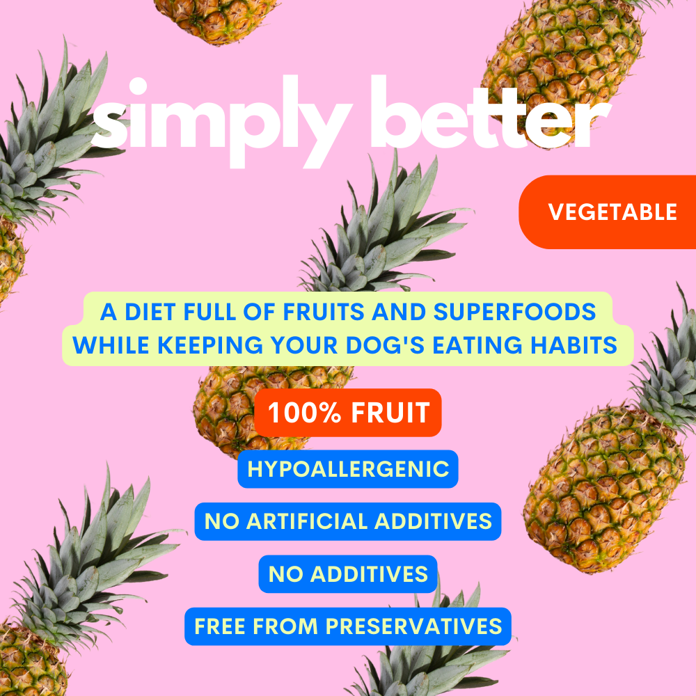 JAMPY - Wholesale Pet Supplement - Cat/Dog - Superfood Fruit Mix - 100% Natural Vitamin Powder for Dogs3