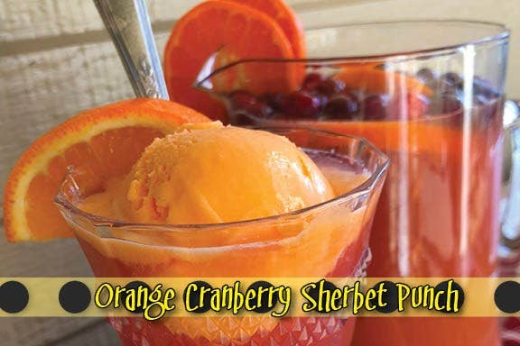 Lemon Poppy Inc. - Wholesale Cookbooks & Food - DISPLAY copy of When Life Gives You a Lemonade Stand - ONE5