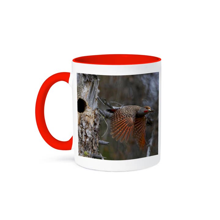 3dRose, British Columbia, Red-shafted Flicker bird-CN02 GLU0084 - Gary Luhm, Mug for wholesale by 3dRose