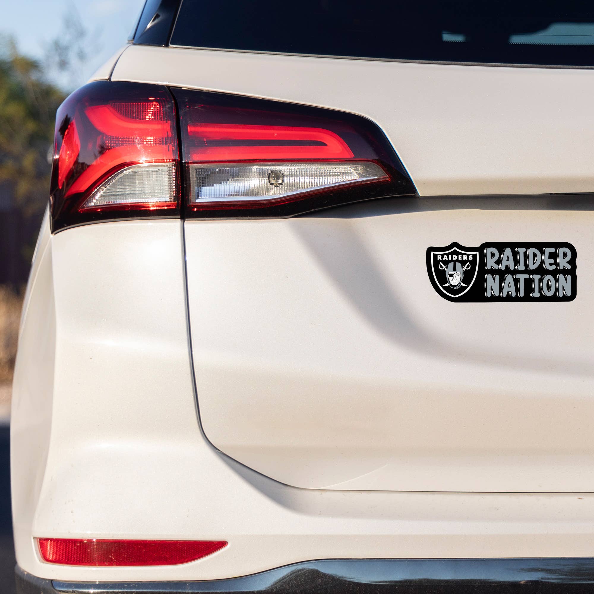 Rico Industries - Wholesale Car Decorative Charm - Unisex - NFL Football Minnesota Vikings Sketch Look 4" X 6" Decal1