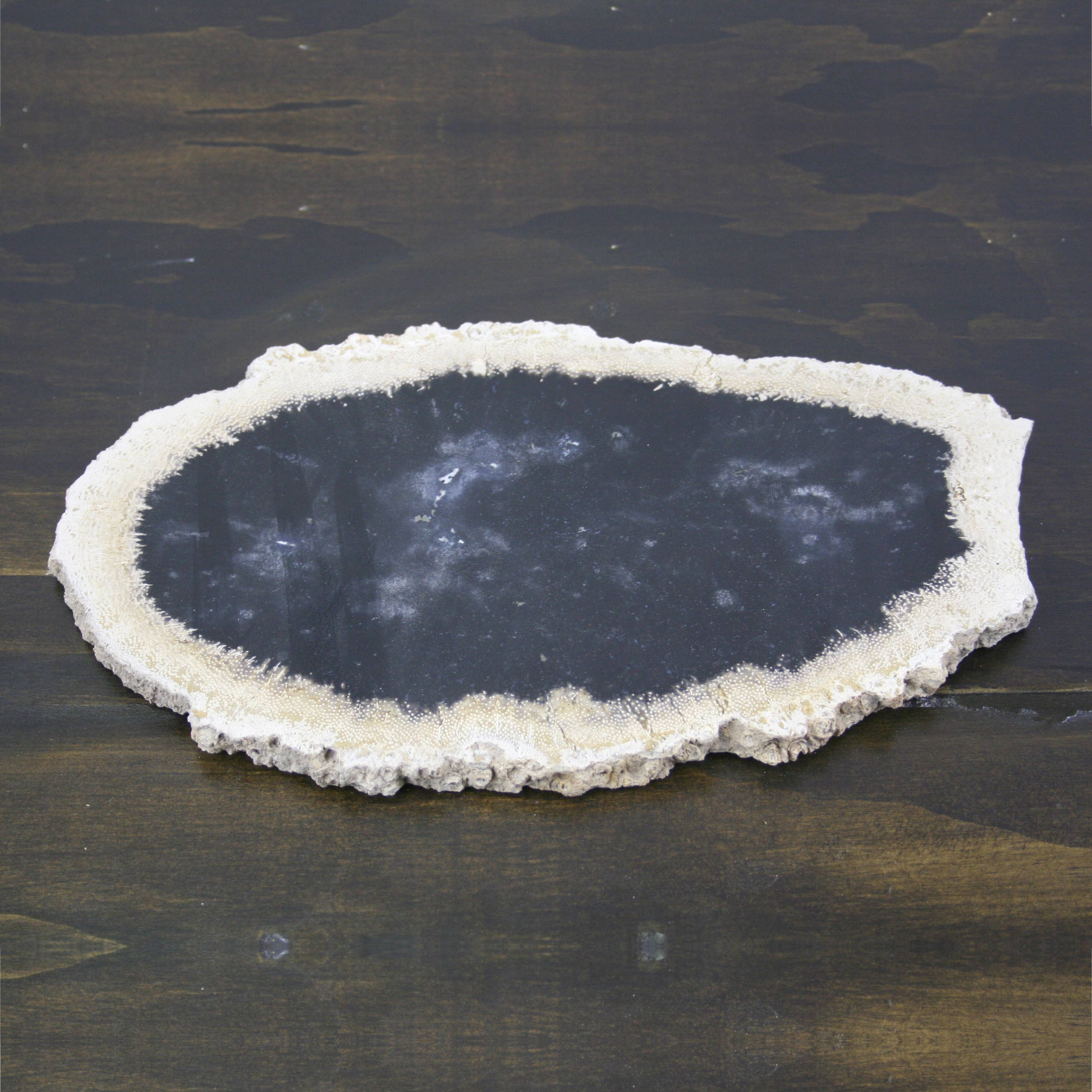 Housewares & Tabletops by Contrast Inc. - Wholesale Cutting Board - Petrified Palm Wood Small Cheese Board4