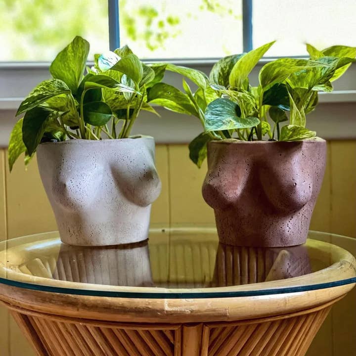 Queen City Crete - Wholesale Plant Pot - LARGE MILADY PLANTER
