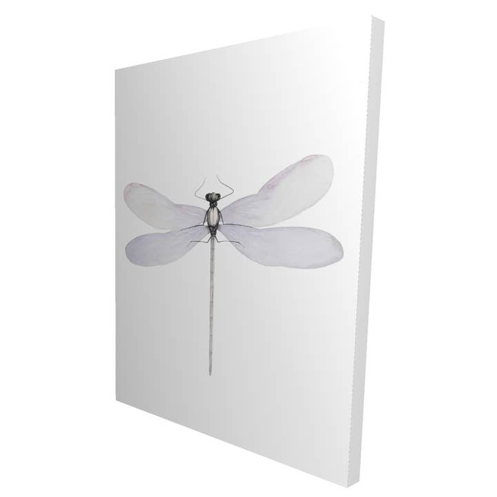 Libellule Délicate Toile Grise - Décoration de Chambre Insecte pour la vente par BEGIN HOME DECOR
