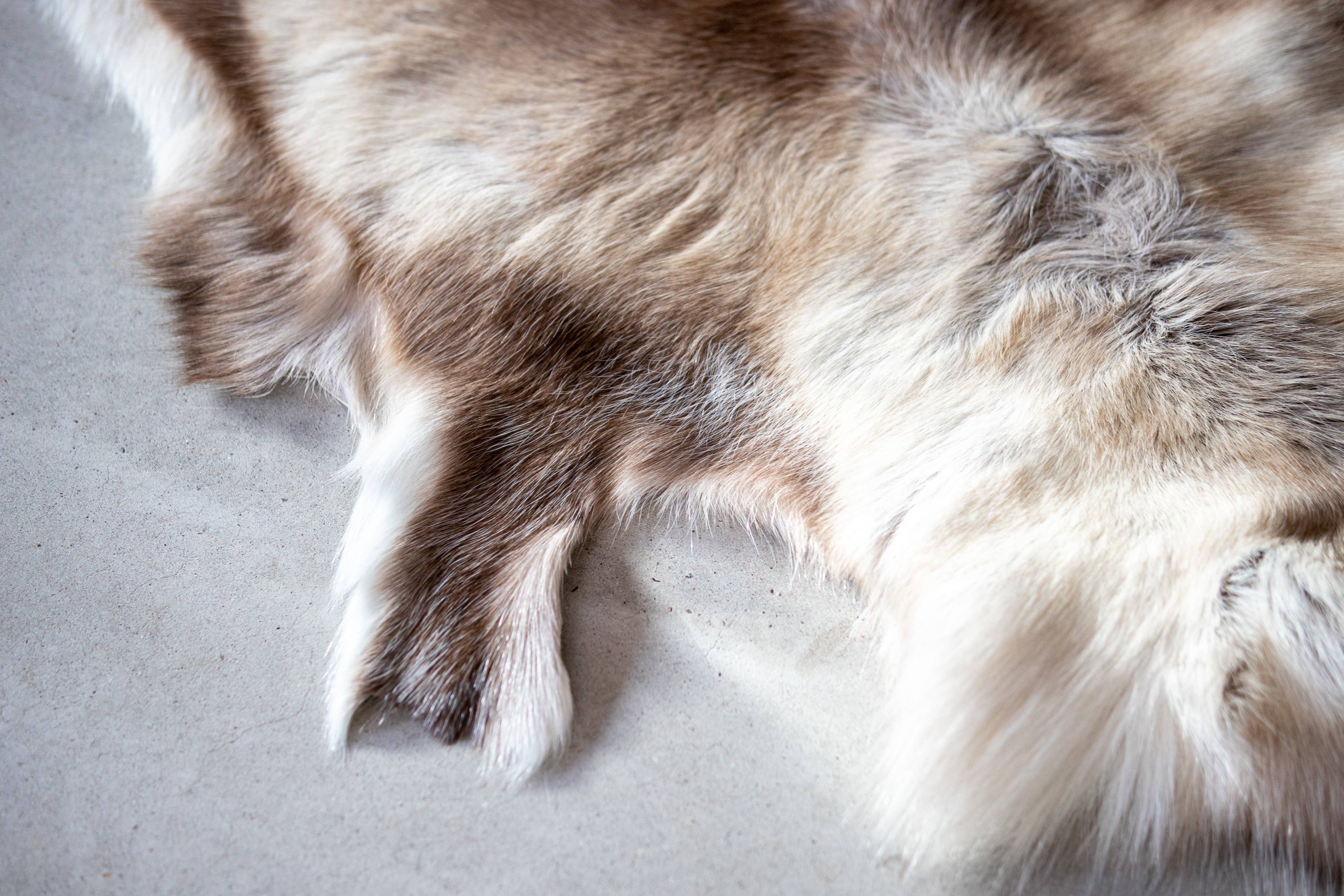 Van Buren - Vente Tapis - Peau de renne claire2