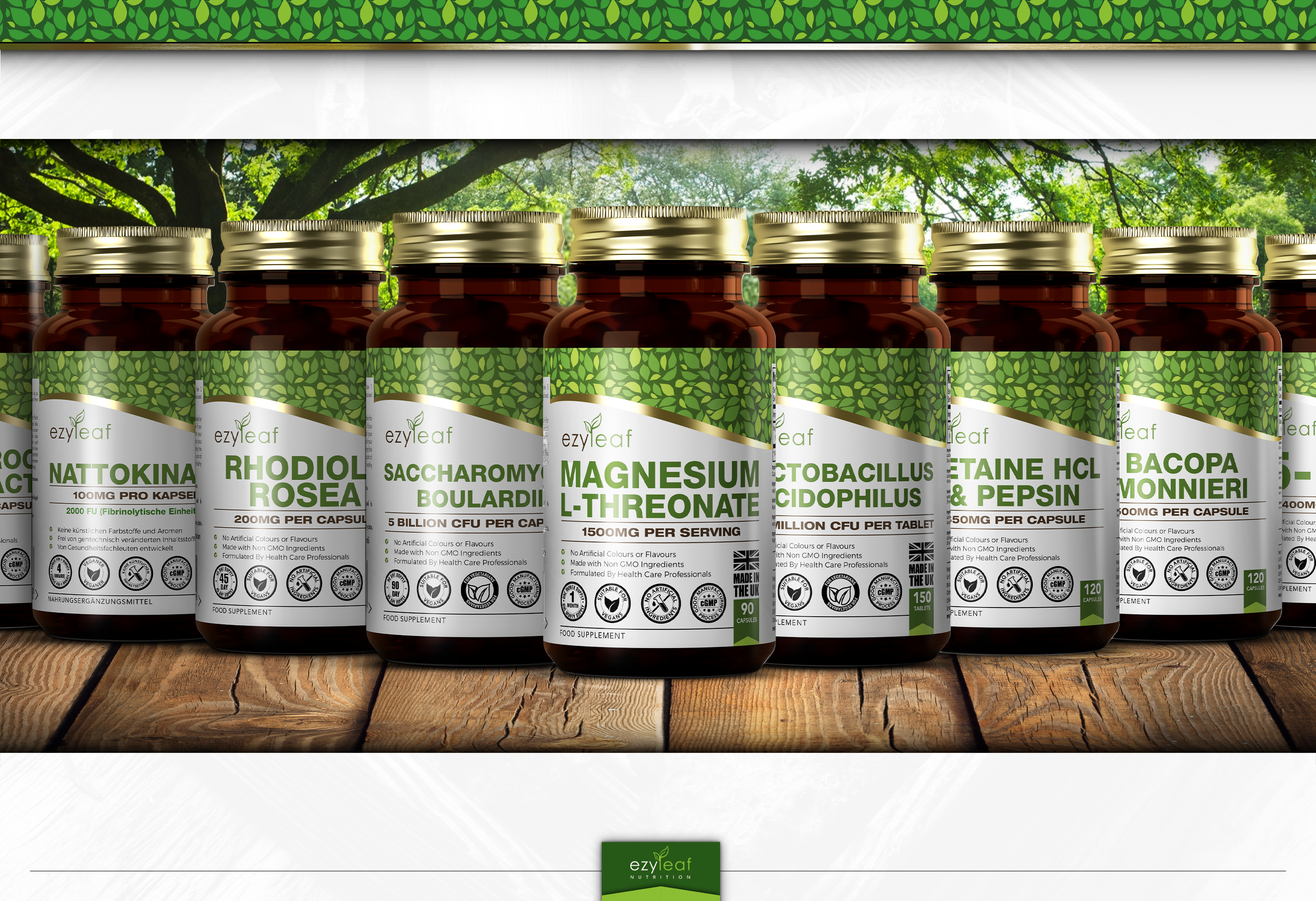 Focus Supplements – wholesale Oral supplement/vitamin – Bacopa Monnieri (500mg) 120 Capsules11