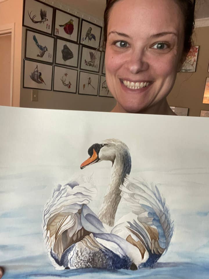 Mute Swan - Giclee Print for wholesale by Bird Art by KB