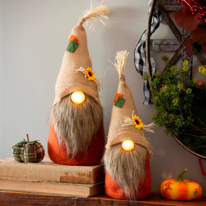 LED Plush Gnomes, Set of 2 for wholesale by Evergreen Enterprises