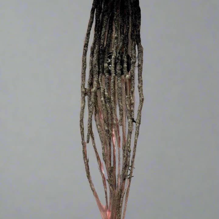 Pandoras Lox Dread Shop - Wholesale Hair Extensions - Void Glamour Dreadlocks