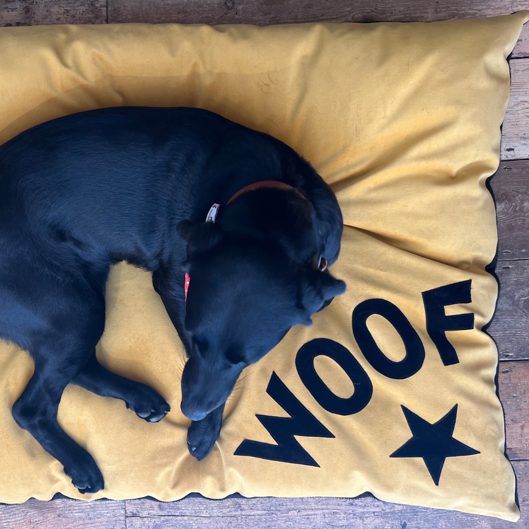 Creature Clothes - Wholesale Pet Bed - Dog - Dog bed in mustard velvet with black WOOF letters and star detail7