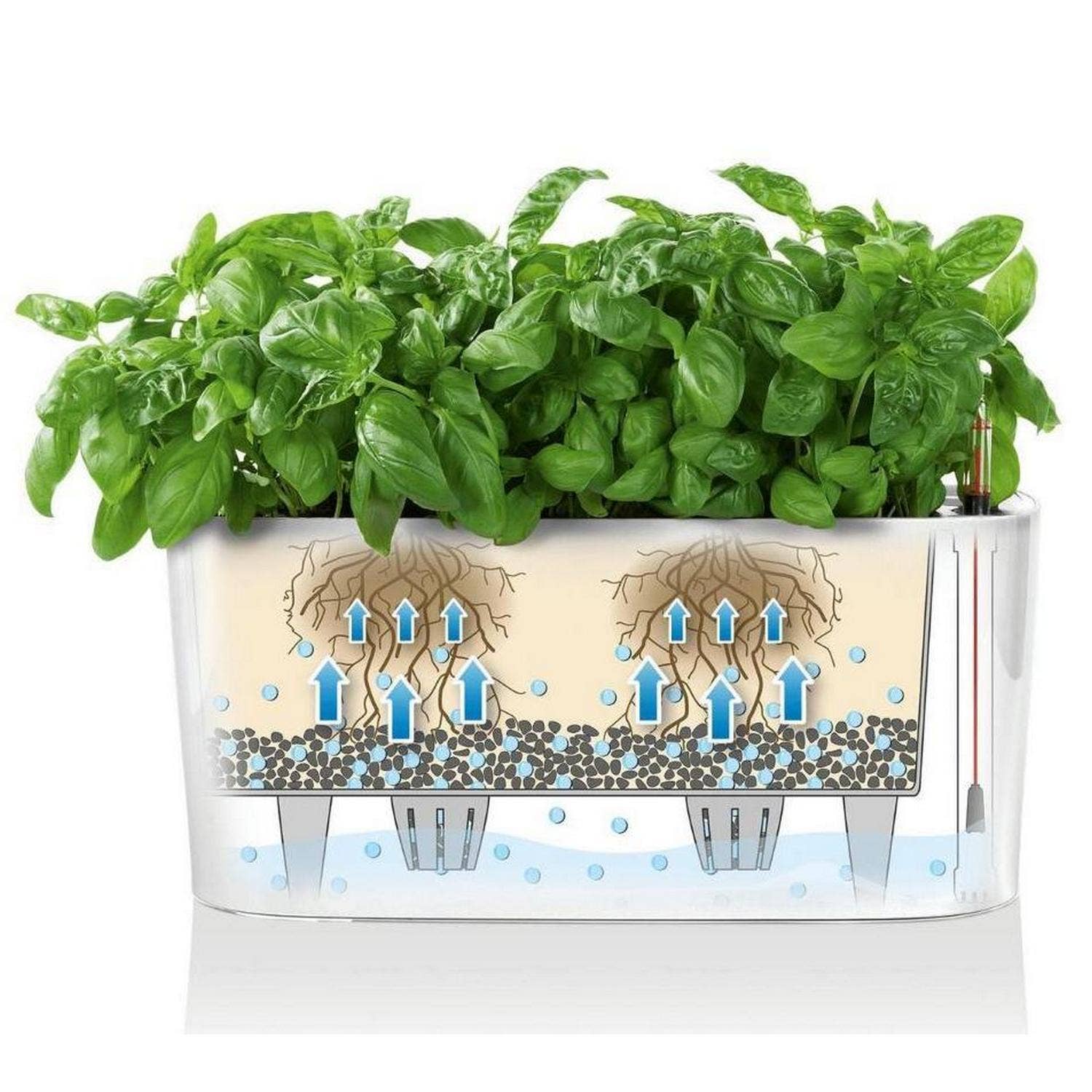 Lechuza Self Watering Planters - Vendita all'ingrosso Vasi per piante - LECHUZA DELTA Fioriera da tavolo/davanzale in poliresina16