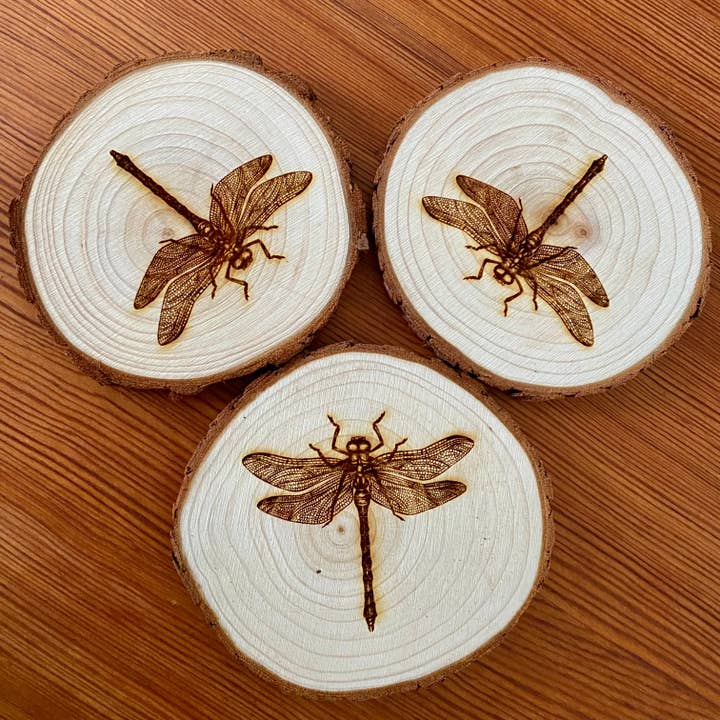 Munsell Made - Wholesale Coasters - Engraved Wood Dragonfly Coasters4
