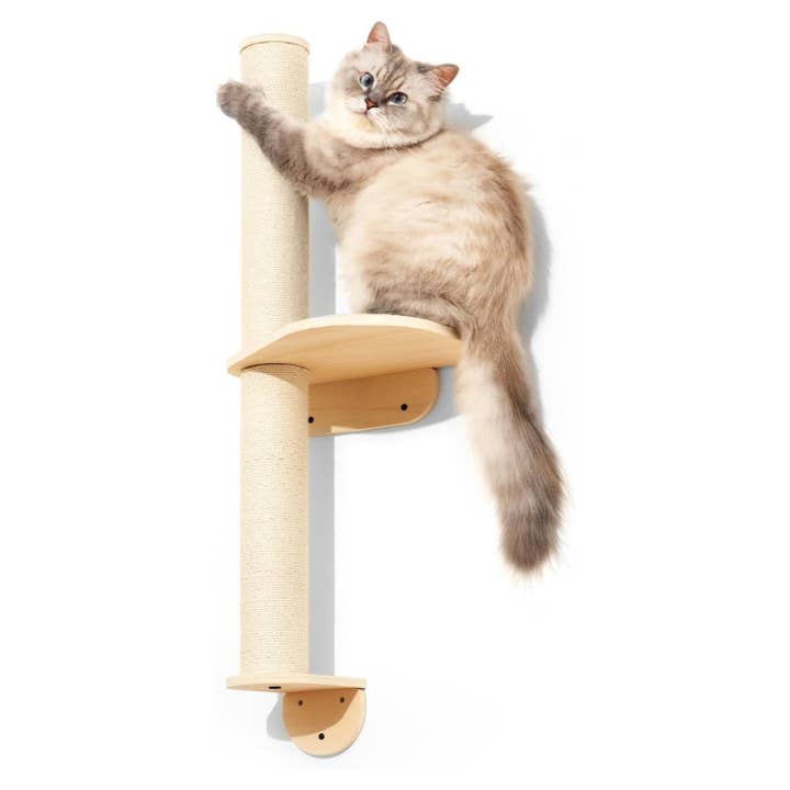 Wall Mounted Cat Activity Tree with Scratching Posts for wholesale by Robud & Mewoofun Official Store