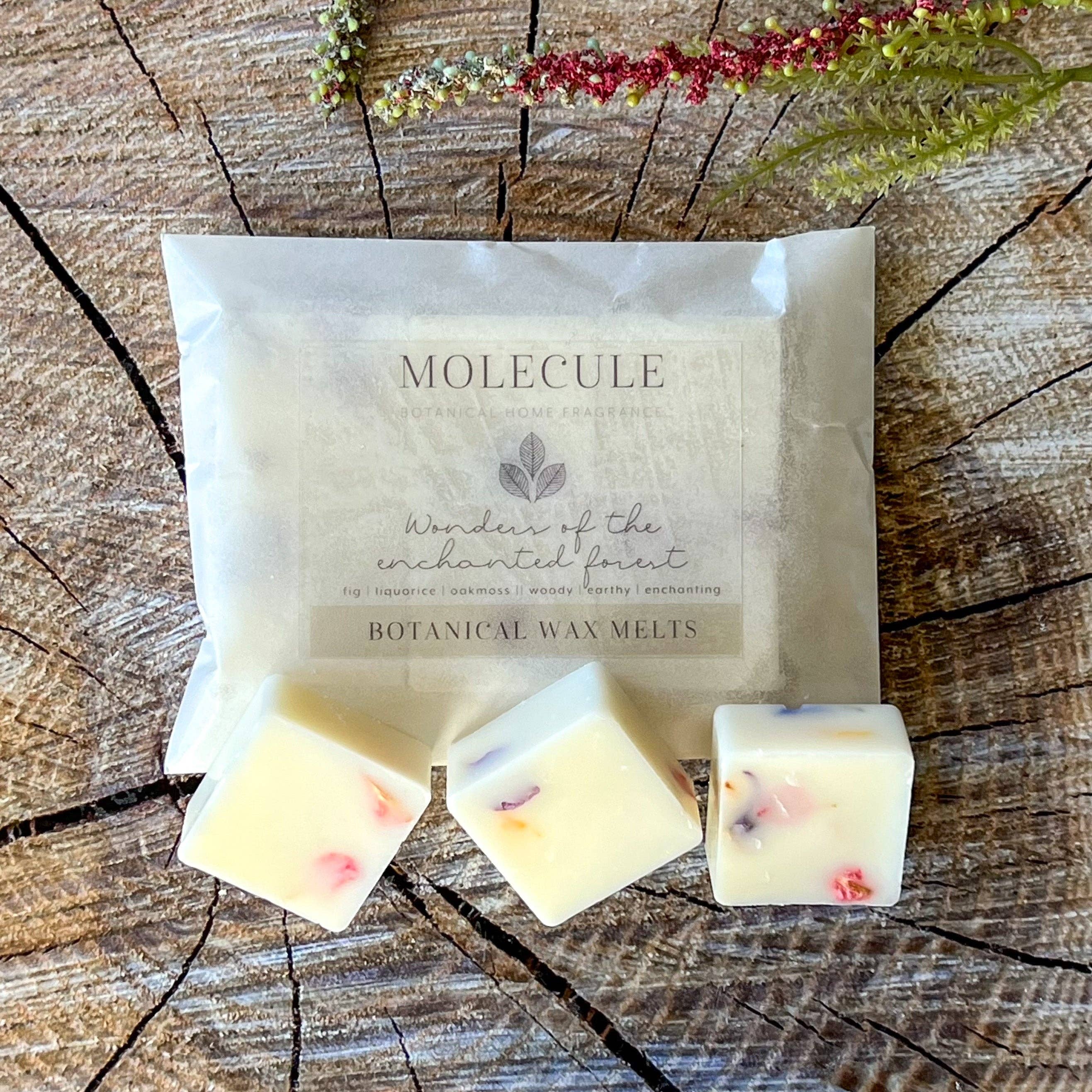 Molecule Home Fragrance - Wholesale Wax Melt - Wax Melt Starter Gift Set3