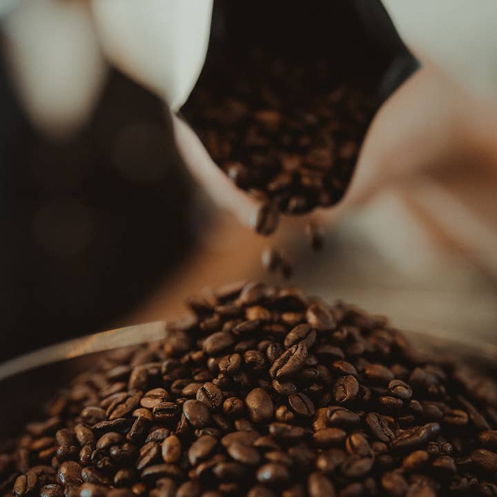 Brewpoint Coffee - Wholesale Coffee Beans - The Stargazer: House Blend3