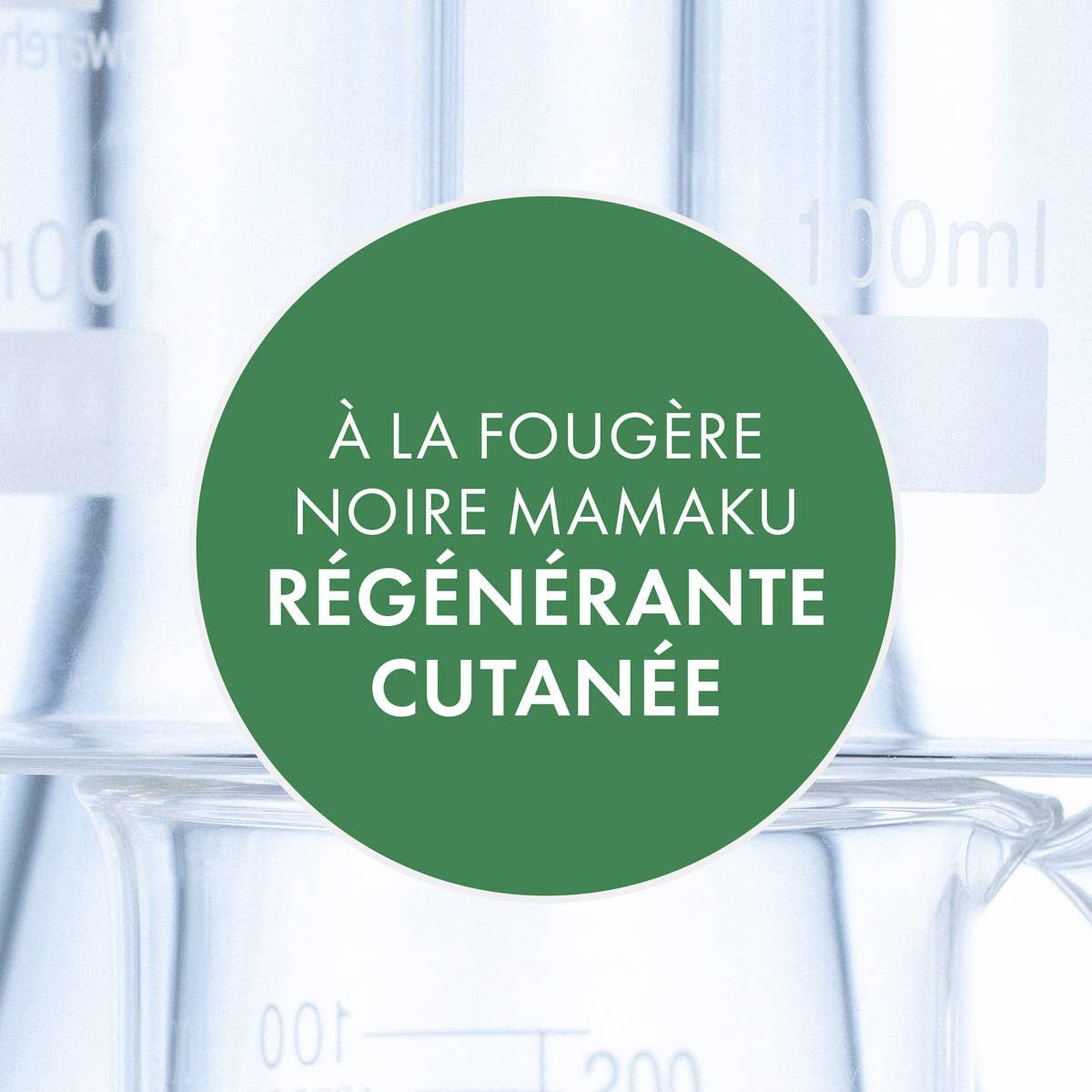 Antipodes France - Wholesale Facial Toner - Ananda antioxidant mild tonic 100ml1