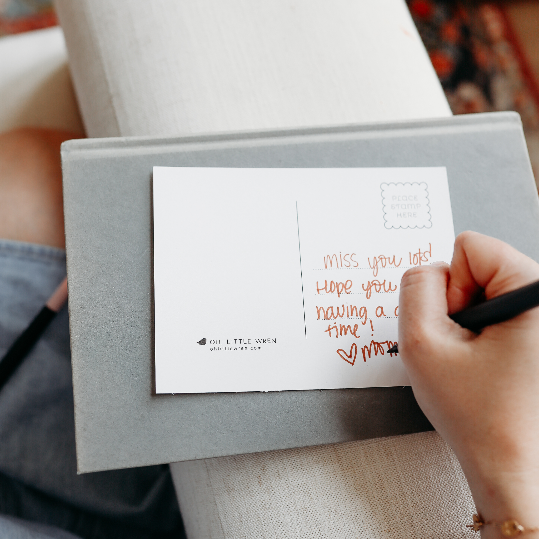 oh, little wren – wholesale Postcard set – Woodland Coloring Postcards | Set of 14 Illustrated Art Card6